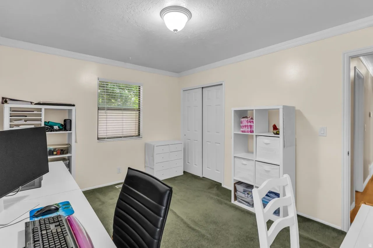 Room featuring light-colored walls, green carpet, and a window with blinds