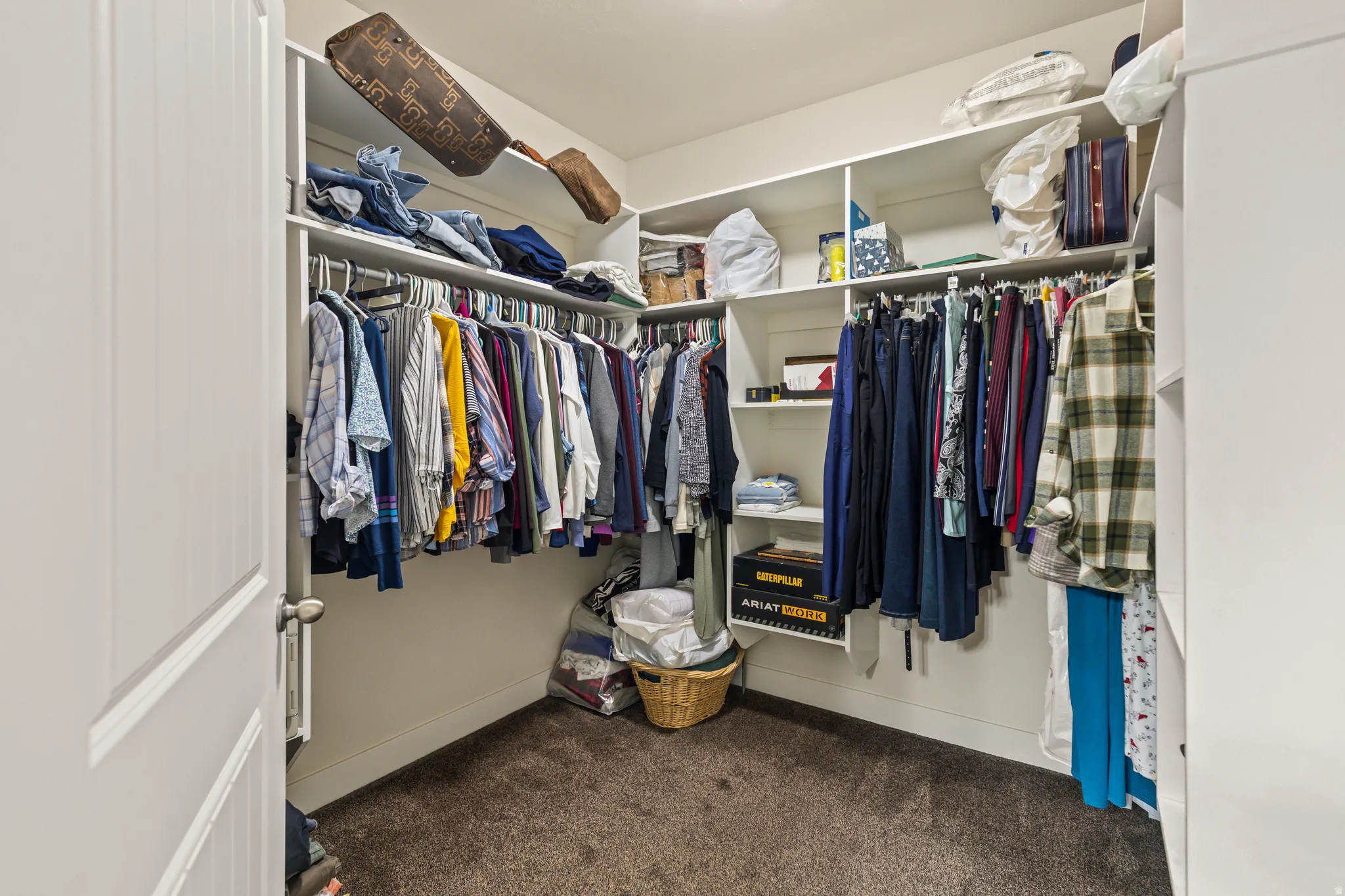 Walk-in closet featuring white shelving, multiple hanging rods, built-in cubbies, and dark carpet flooring