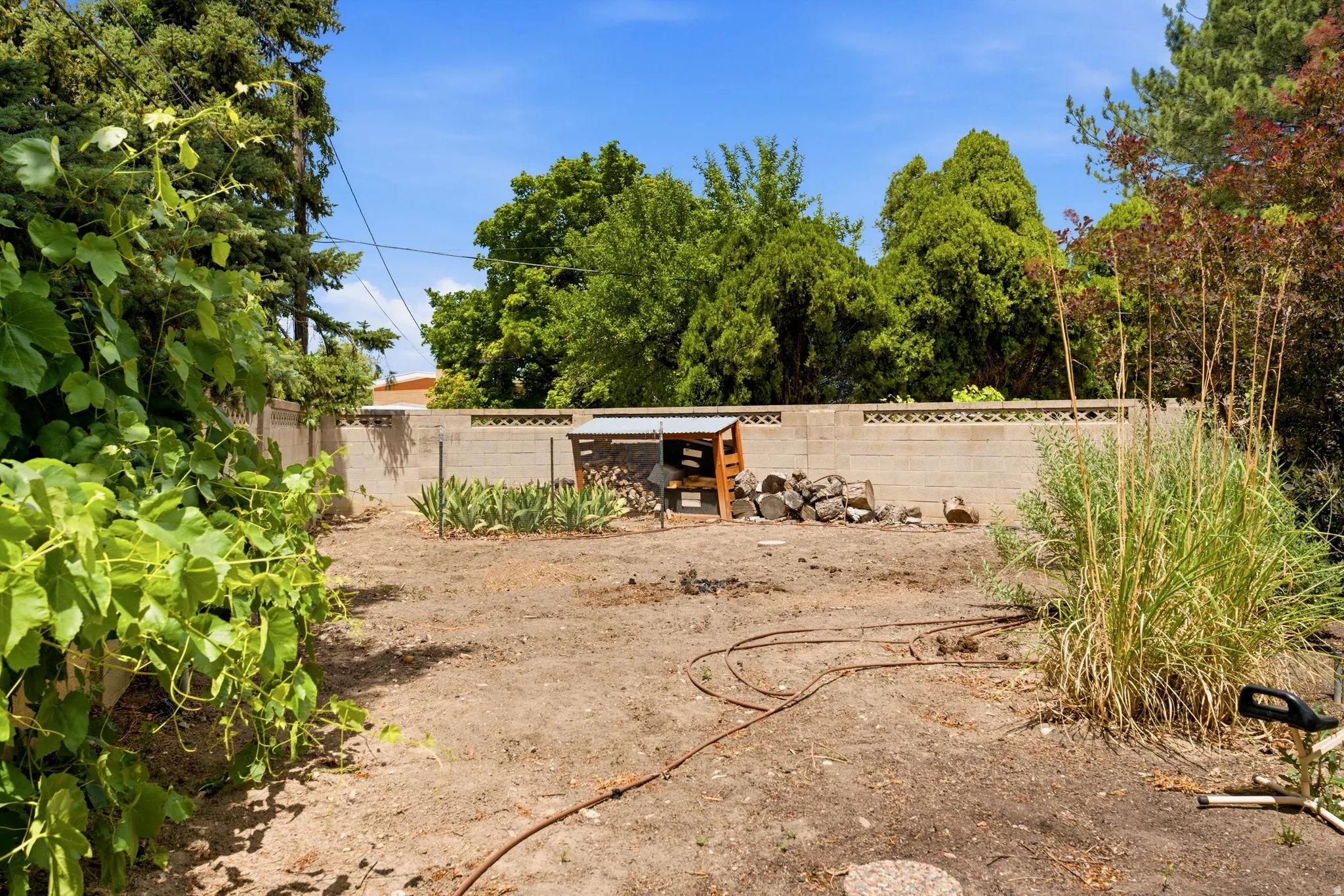 Expansive backyard space featuring mature perimeter trees and a concrete block privacy wall
