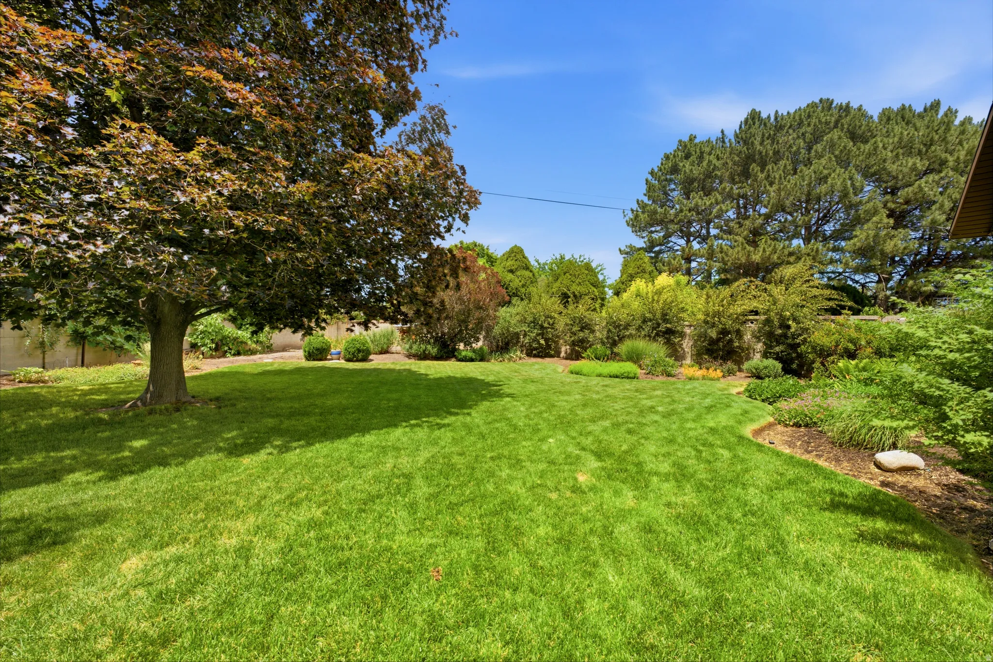 Expansive lawn area featuring a large mature tree