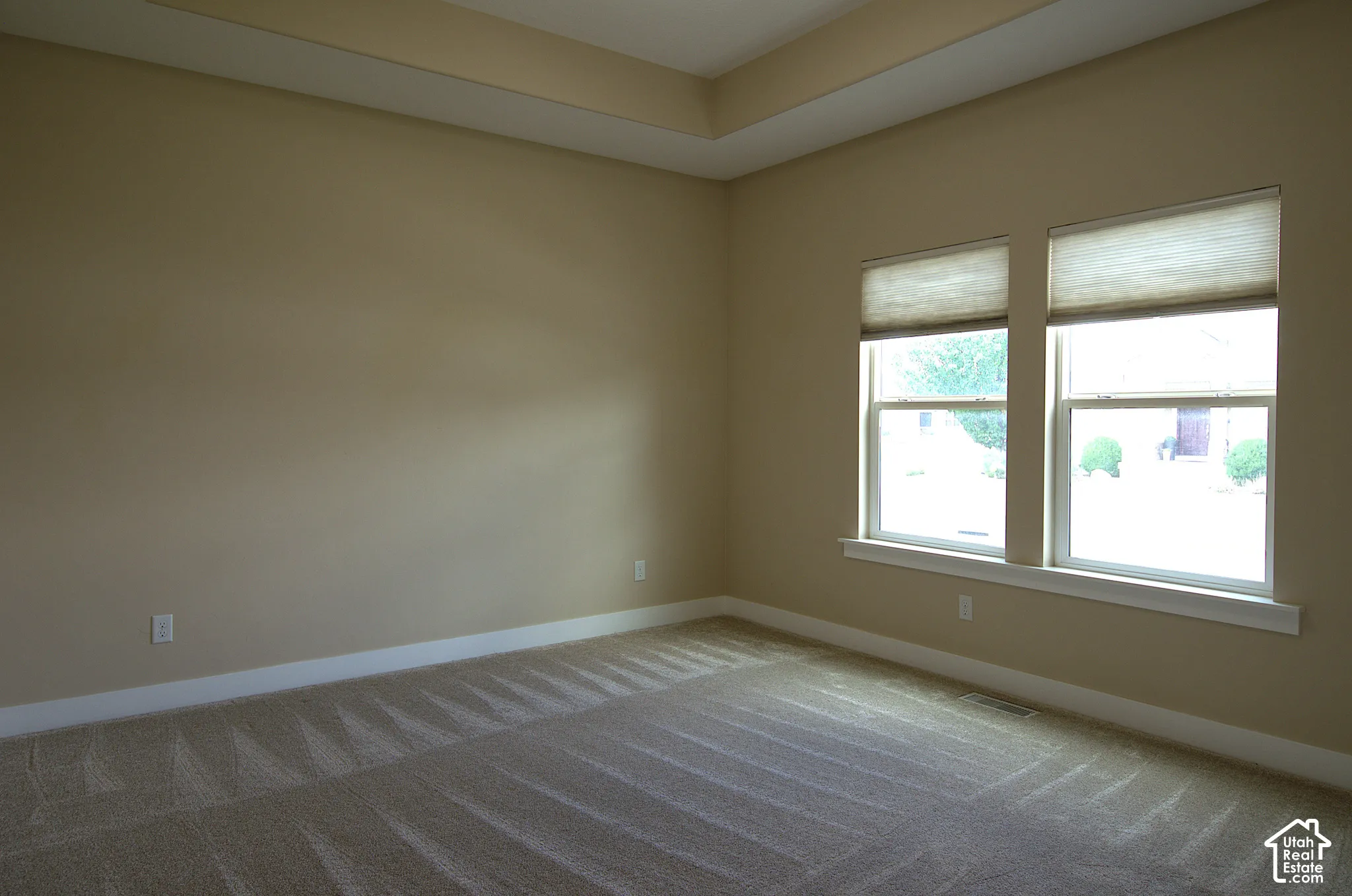 Spacious room featuring neutral carpeting, a tray ceiling, two windows with roller shades, and light beige wall paint