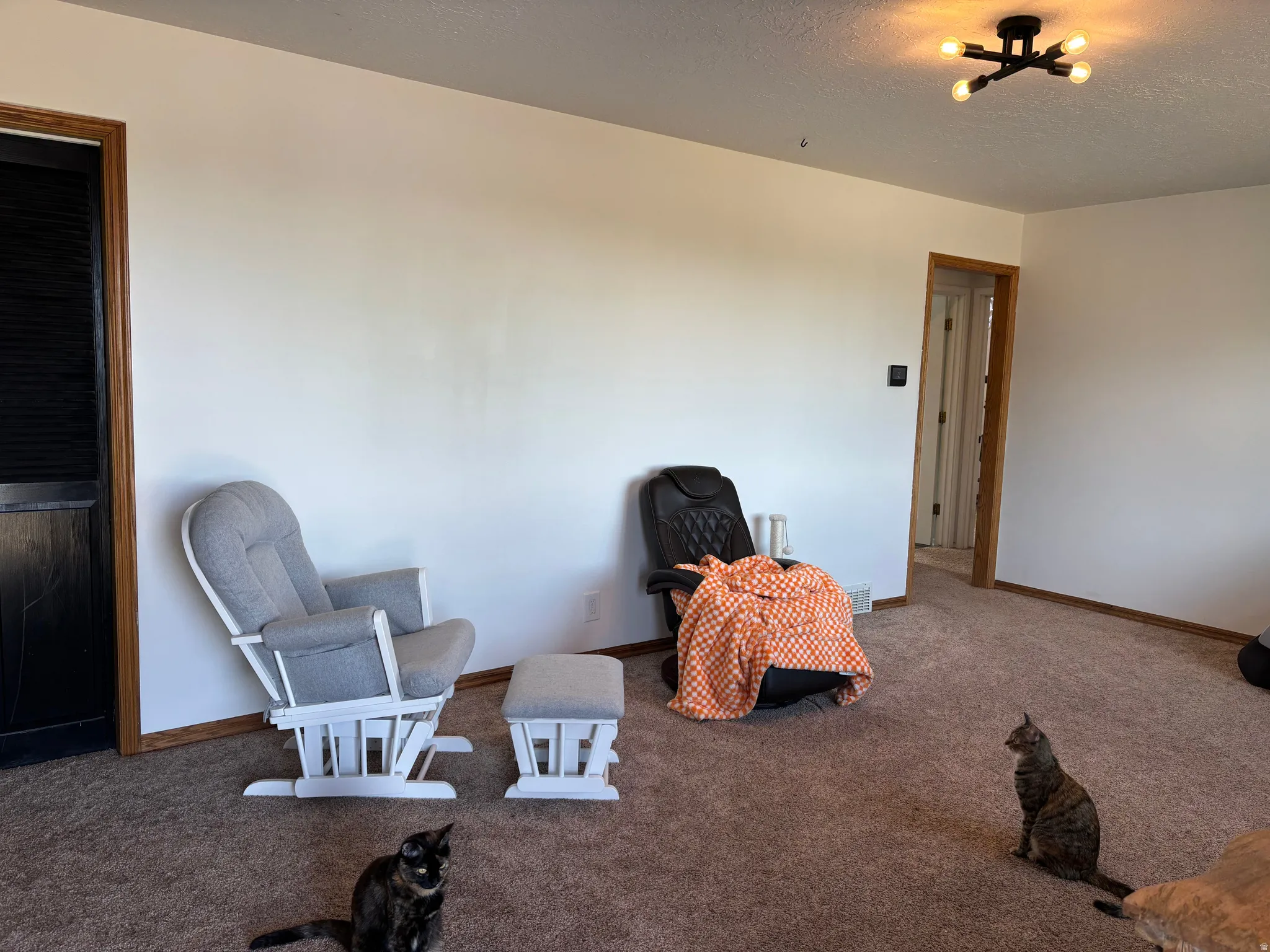 Carpeted interior space with white painted walls, natural wood-finish trim, and a contemporary black ceiling light fixture