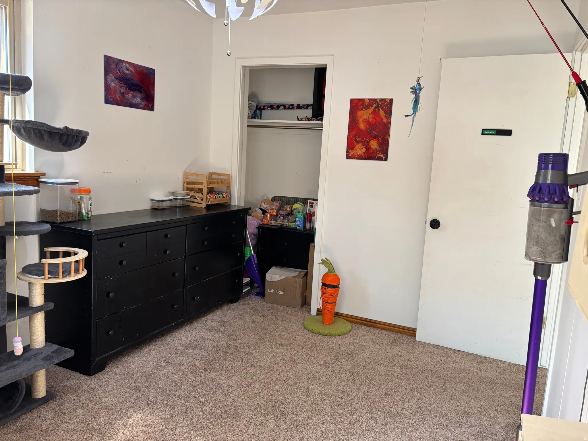 Carpeted room featuring a ceiling-mounted light fixture, white walls, and a closet with a bi-fold door