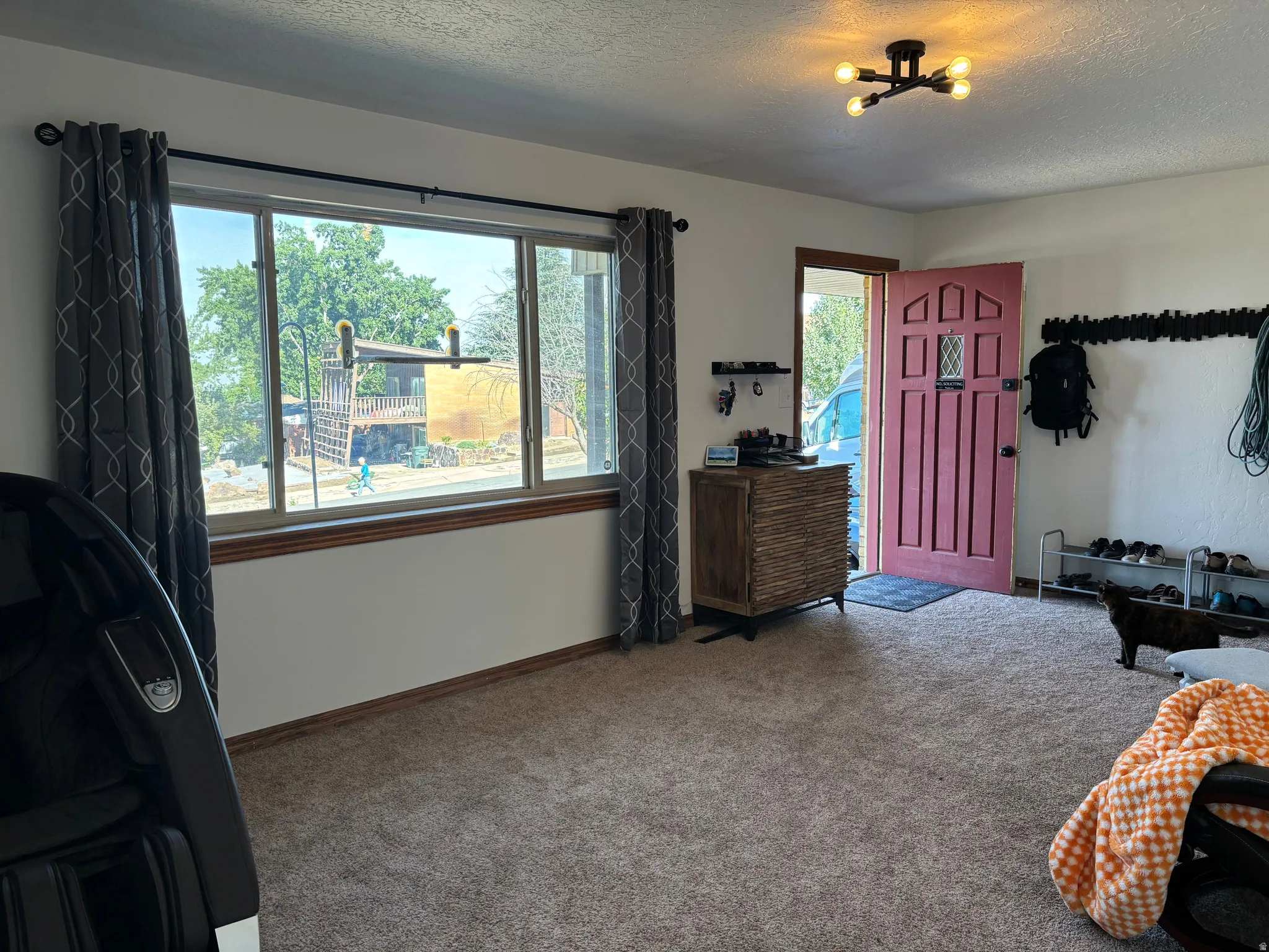 Entryway featuring a decorative pink entry door with multiple glass panels, textured carpeting, a modern ceiling light fixture, and a large window with a wood-finish sill
