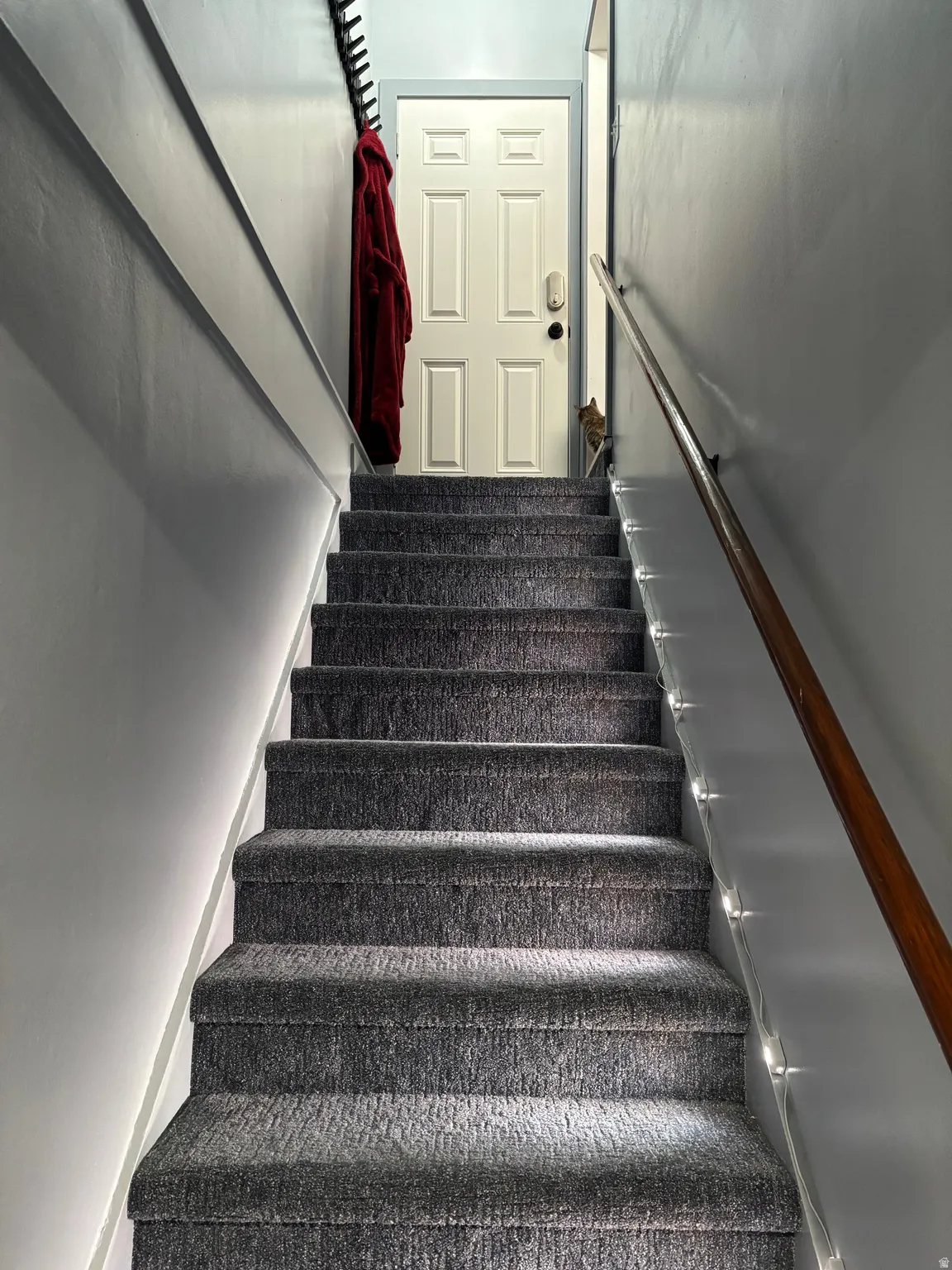 Carpeted staircase featuring a wooden handrail, white paneled door, and integrated wall lighting