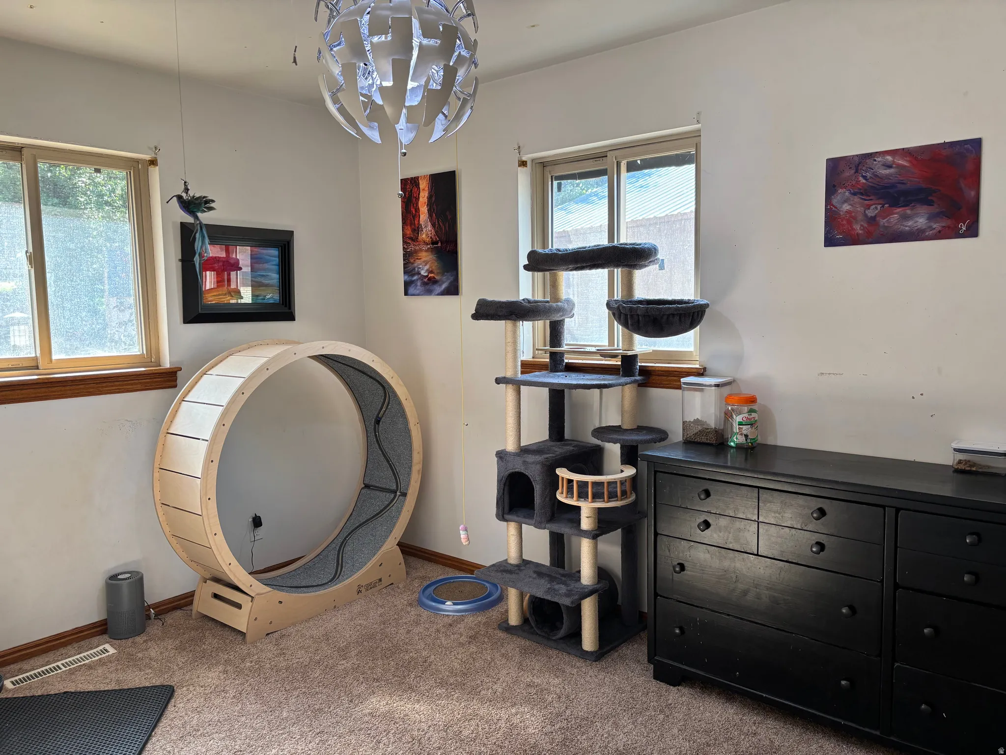 Room featuring light-toned walls and carpeted flooring