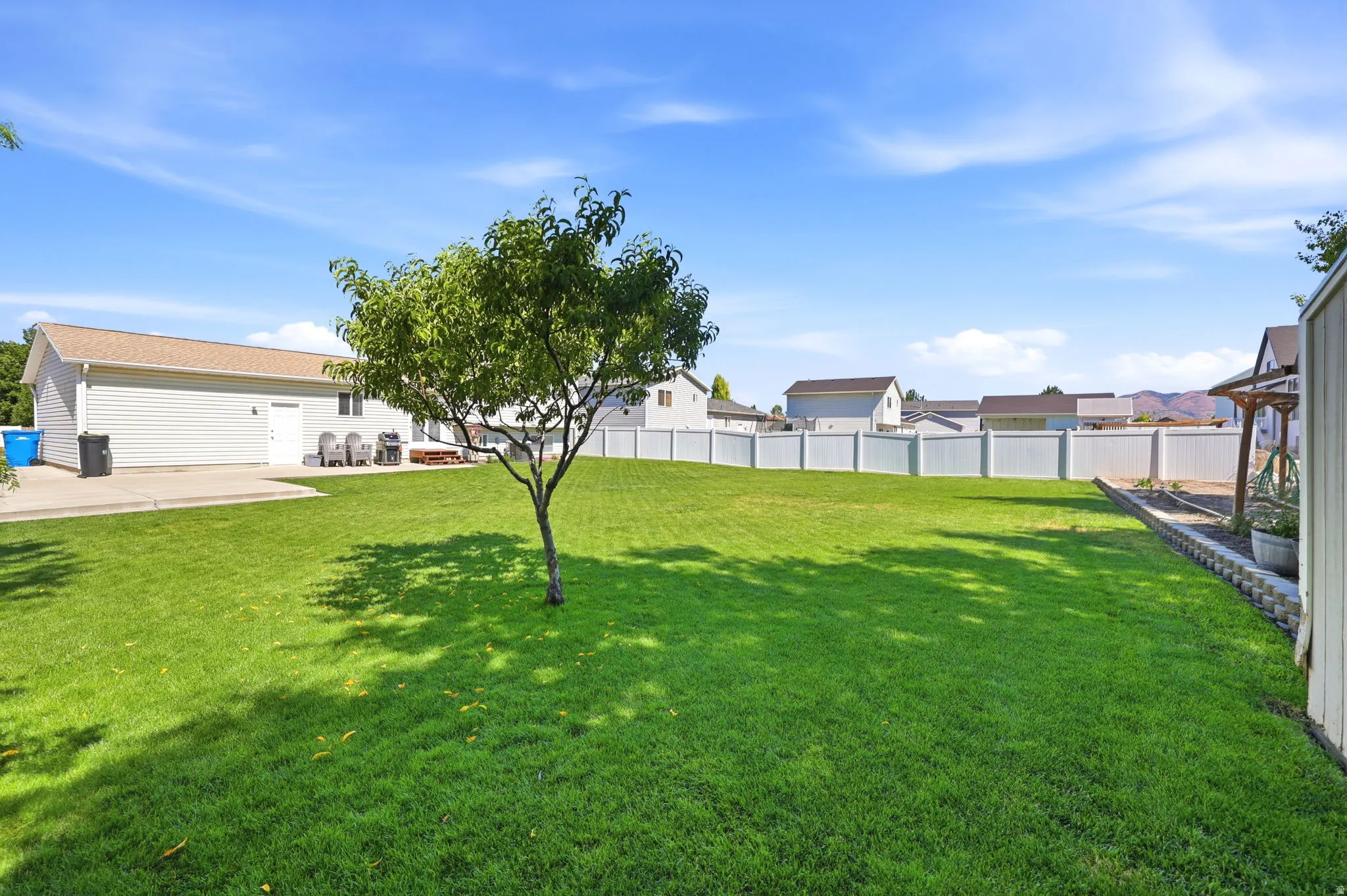 Expansive green lawn with a central deciduous tree