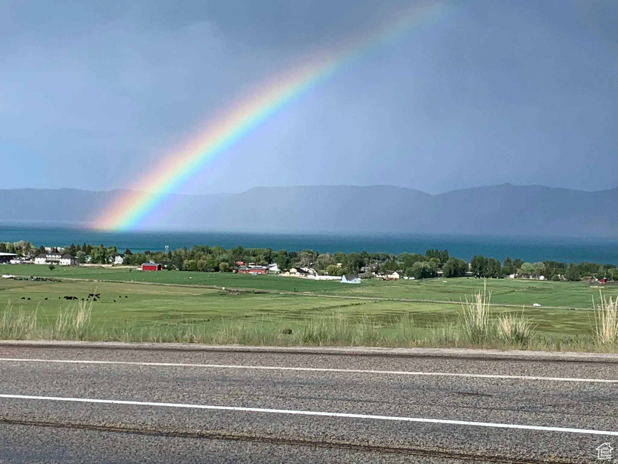 Image quality insufficient for description