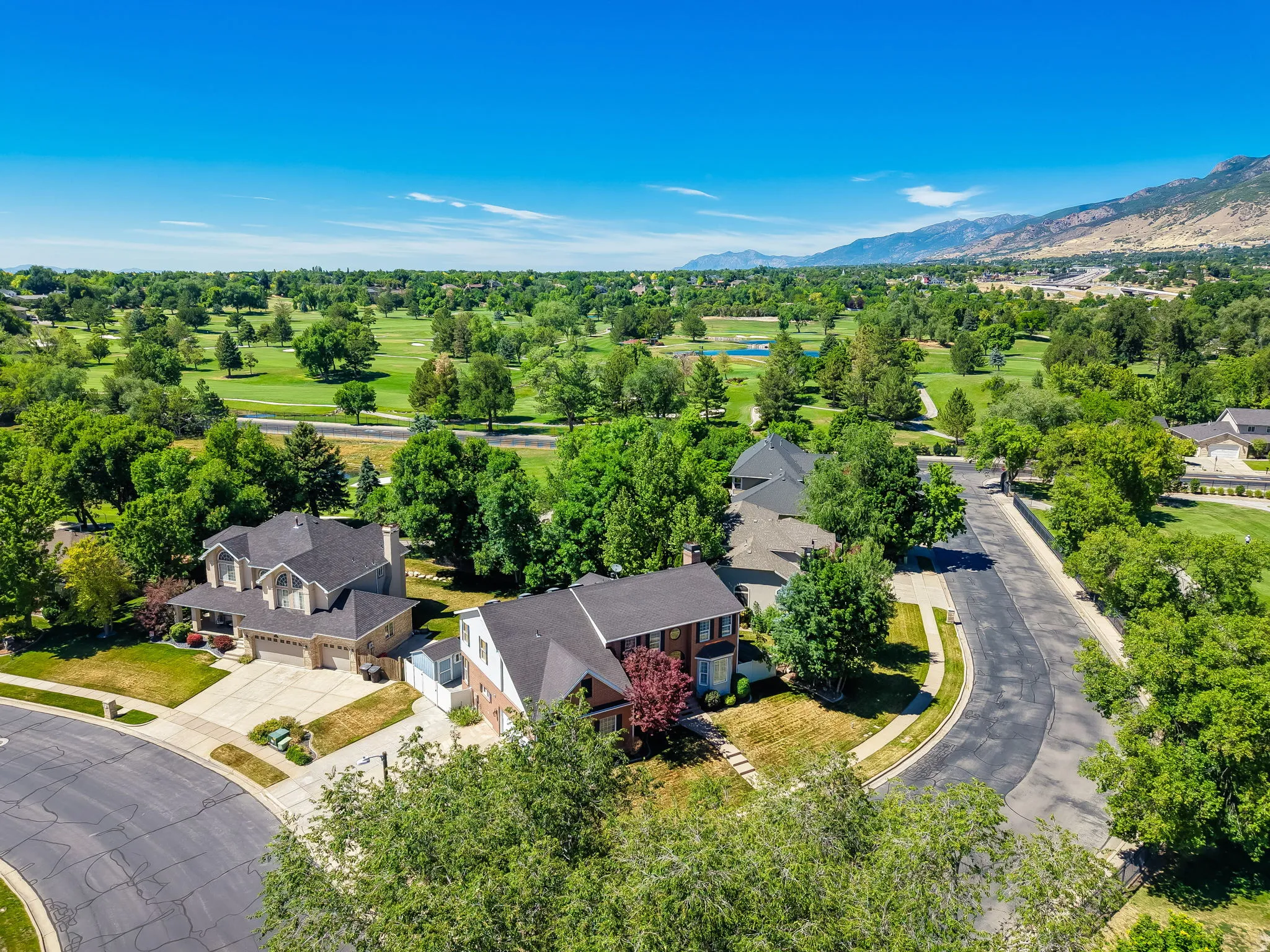 Residential properties situated along a winding street, featuring mature trees and expansive green spaces