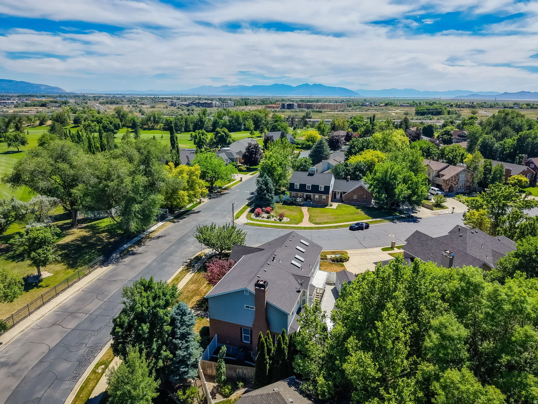 Aerial perspective showcasing a residential neighborhood with mature trees and a distant mountain range