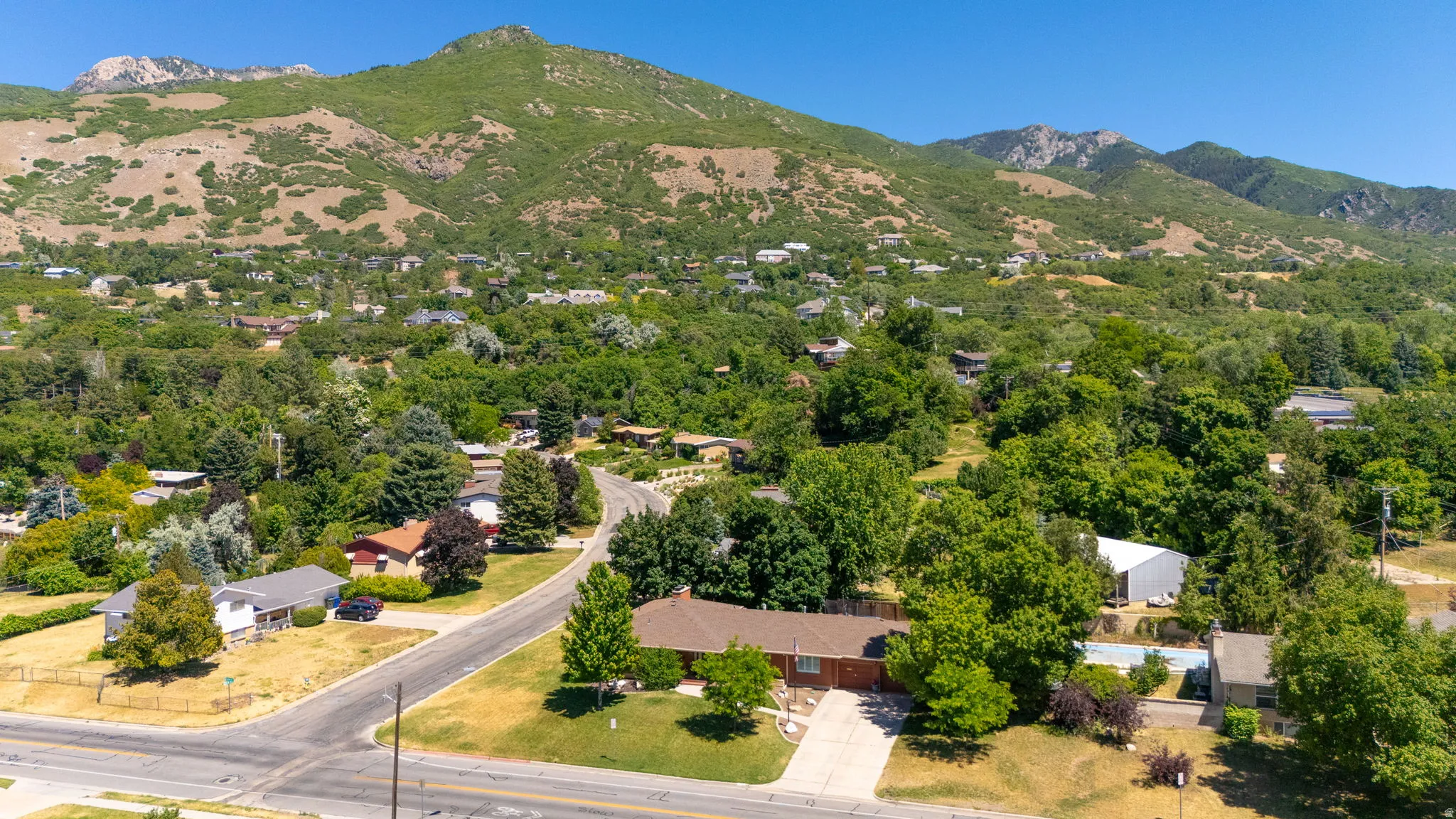 Surrounded by Mature Trees!