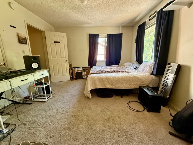 Carpeted room featuring a ceiling light fixture, a paneled interior door, and two windows with dark curtains
