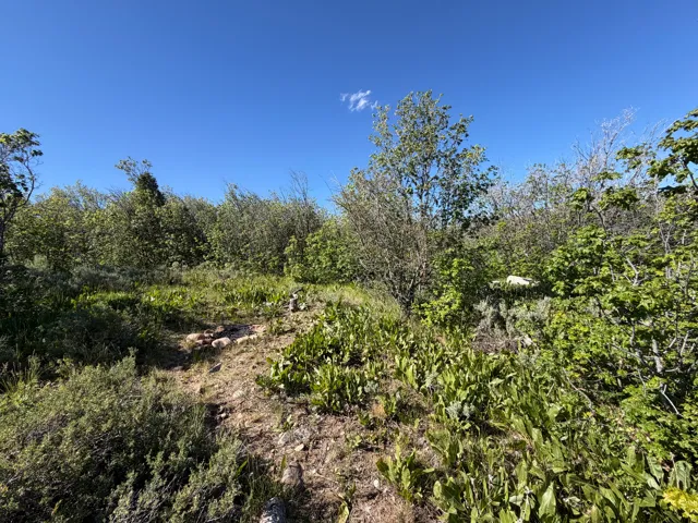 , Montpelier, Idaho 83254