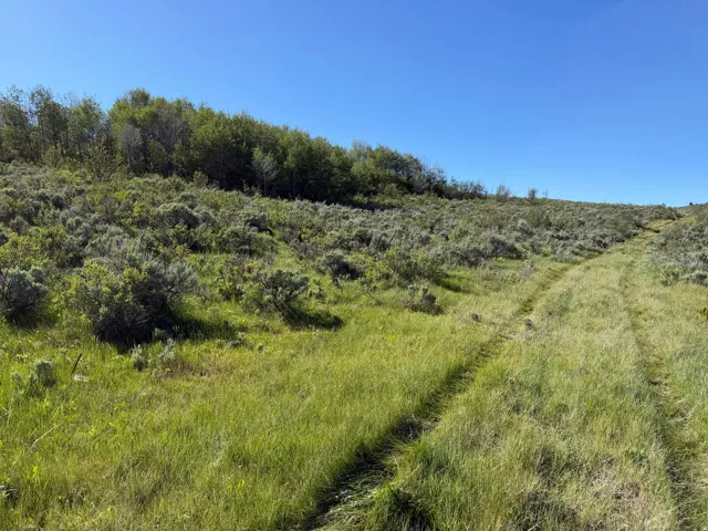 , Montpelier, Idaho 83254