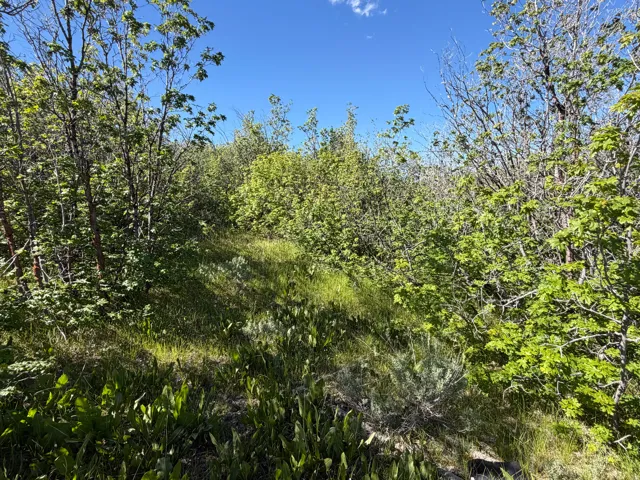 , Montpelier, Idaho 83254
