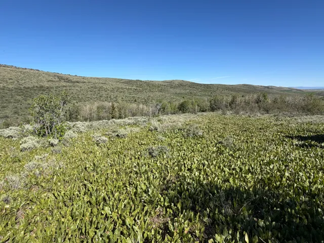 , Montpelier, Idaho 83254
