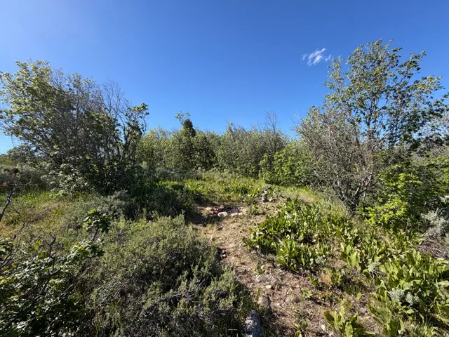 , Montpelier, Idaho 83254