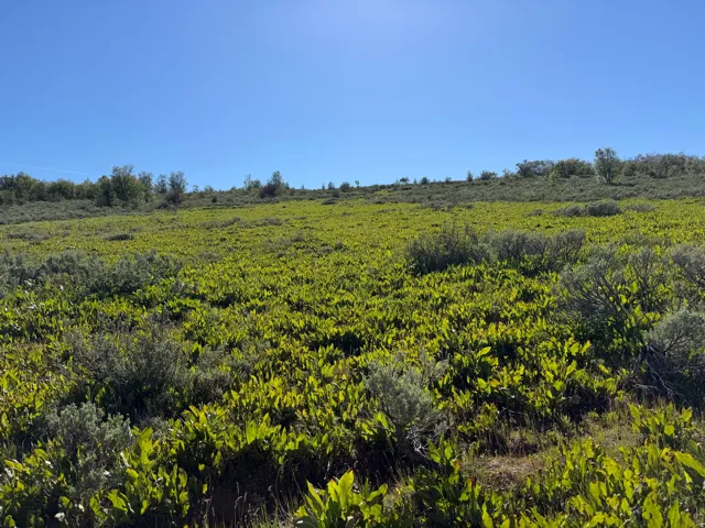 , Montpelier, Idaho 83254