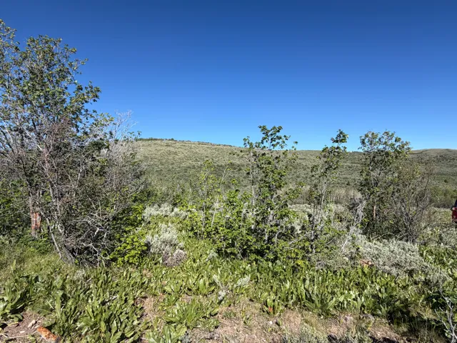 , Montpelier, Idaho 83254