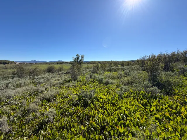 , Montpelier, Idaho 83254