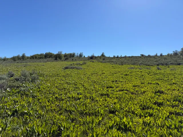 , Montpelier, Idaho 83254