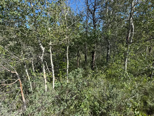 , Montpelier, Idaho 83254