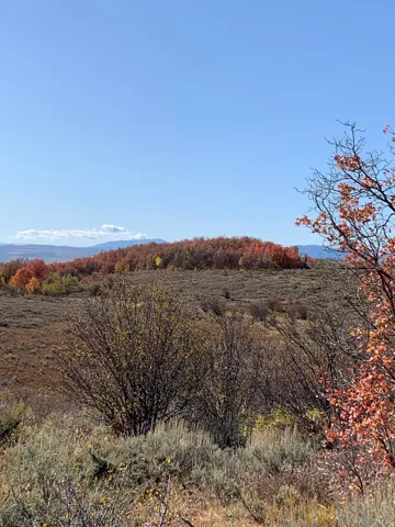 , Montpelier, Idaho 83254