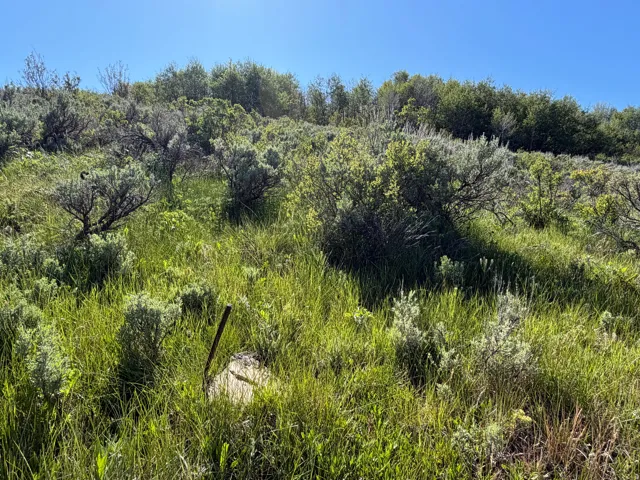, Montpelier, Idaho 83254