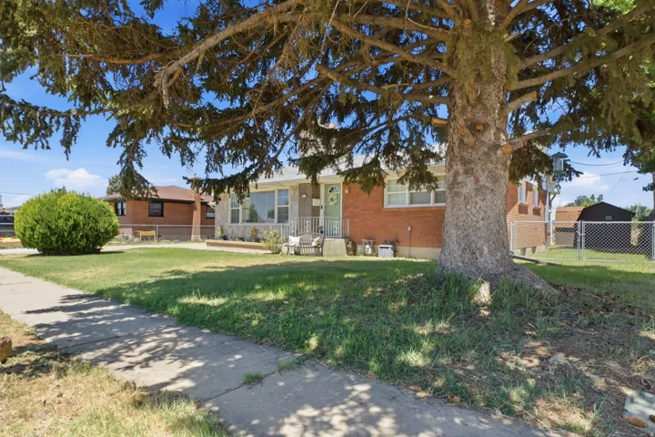 Brick and stone facade residence featuring a mature evergreen tree and a manicured front lawn