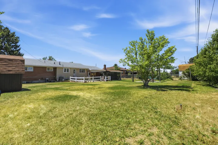 Expansive backyard featuring a large green lawn, mature trees, and a wooden storage shed