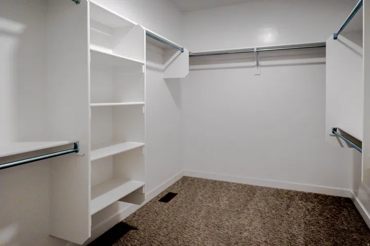 Spacious walk-in closet featuring built-in shelving, multiple hanging rods, white painted walls, white trim, and carpet flooring