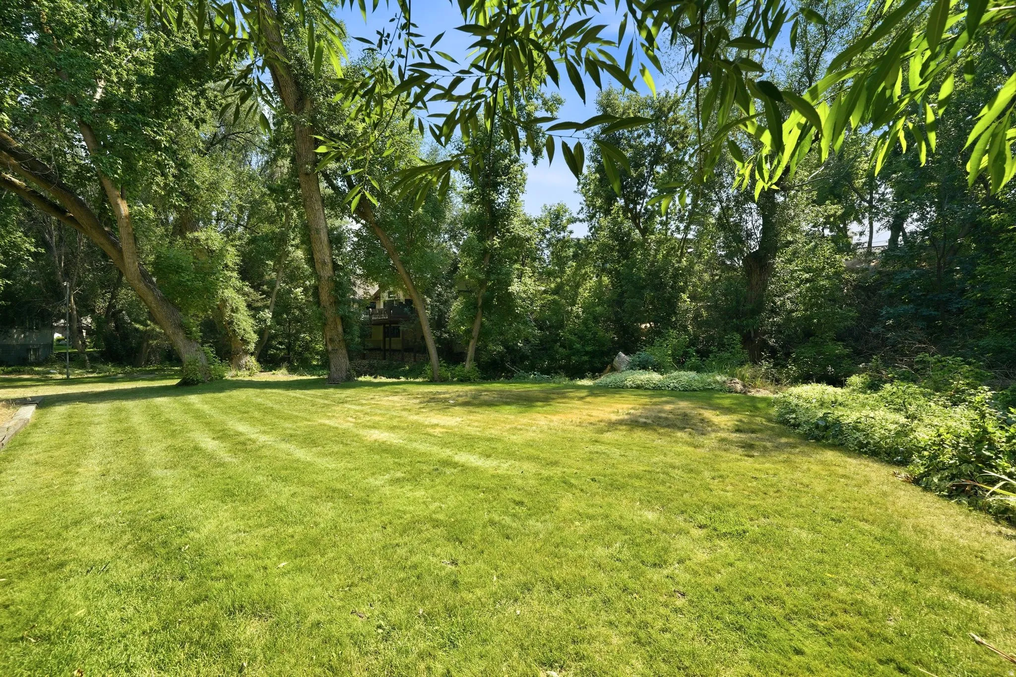 Expansive lawn area surrounded by mature trees, featuring varied green foliage and natural landscaping