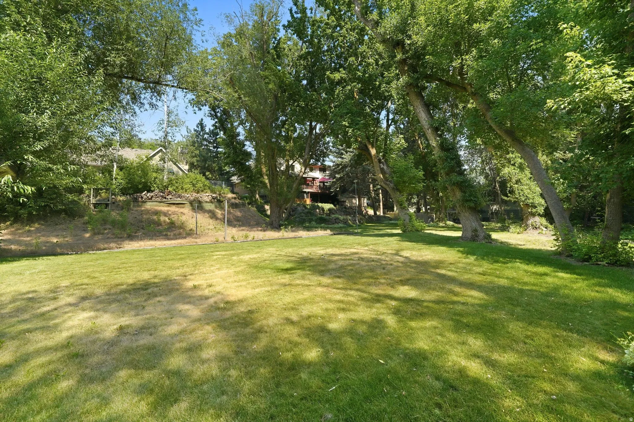 Expansive lawn area surrounded by mature deciduous trees