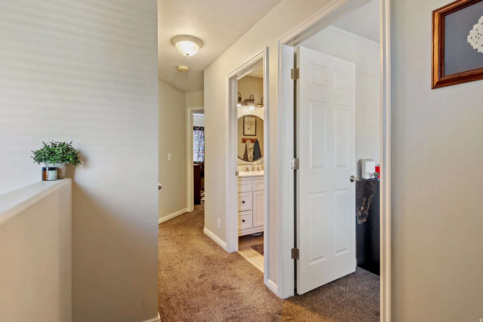 Central hallway featuring textured carpet flooring and light-toned wall paint