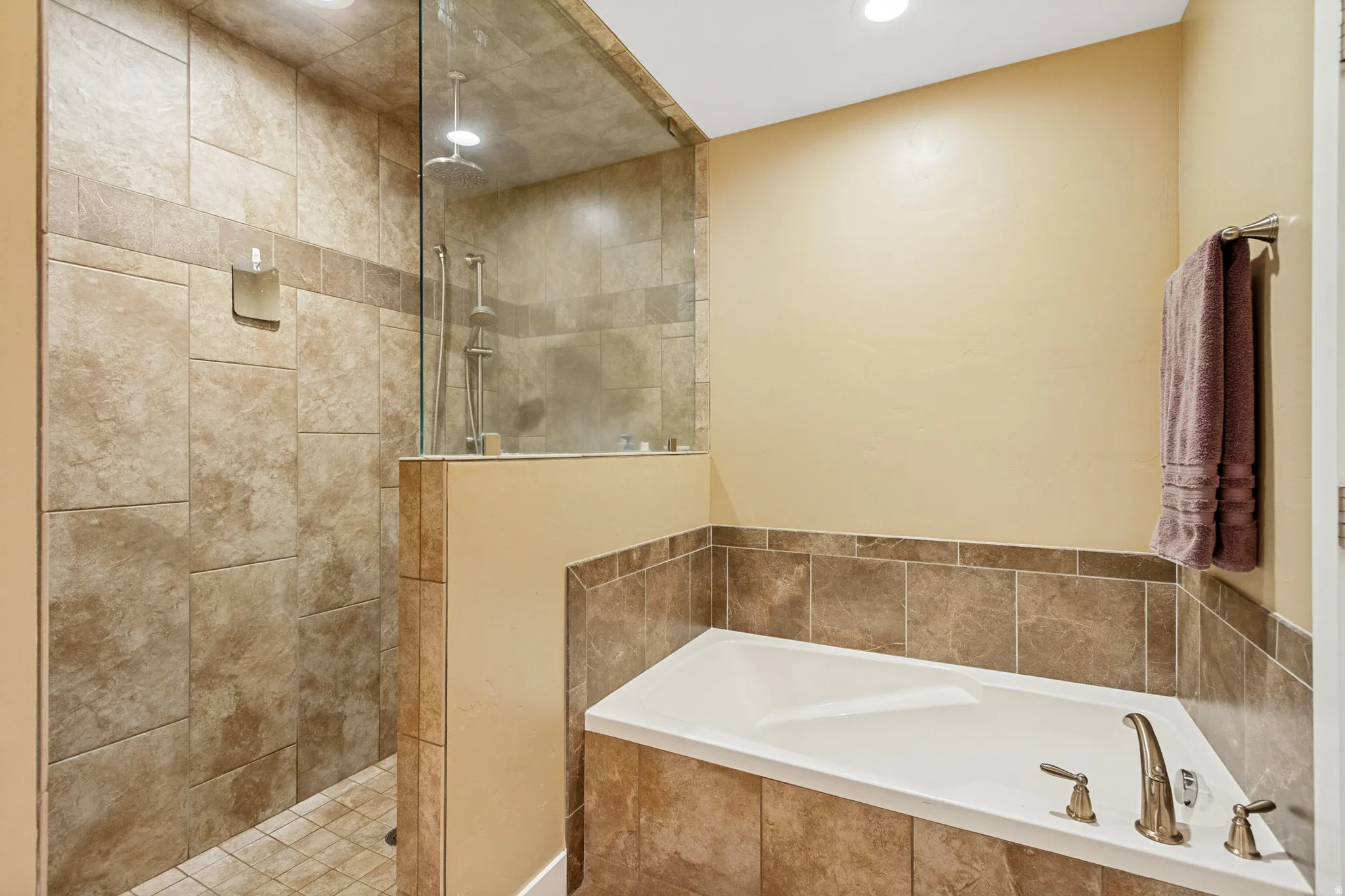 Walk in shower with rain head and standard shower head & separate soaker tub