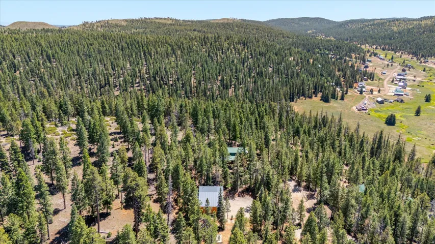 Expansive natural landscape with dense evergreen tree coverage