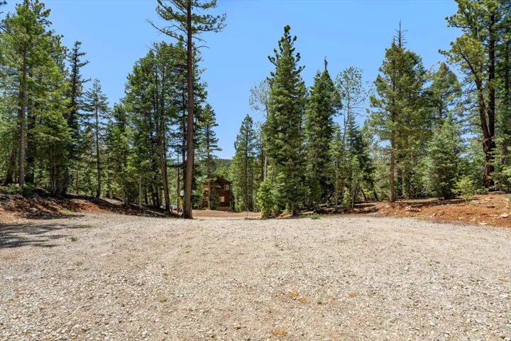 Expansive gravel lot with surrounding evergreen trees, offering a private setting