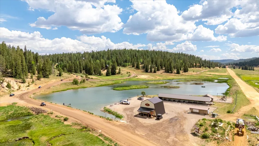 Expansive land featuring a tranquil pond, surrounded by dense evergreen forests and open meadows