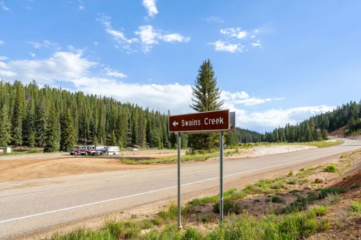 Paved highway with a clear sign indicating "Swains Creek," bordered by extensive evergreen forests and a wide-open sky