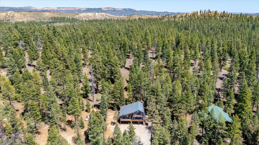 Expansive forested acreage featuring two distinct residential structures