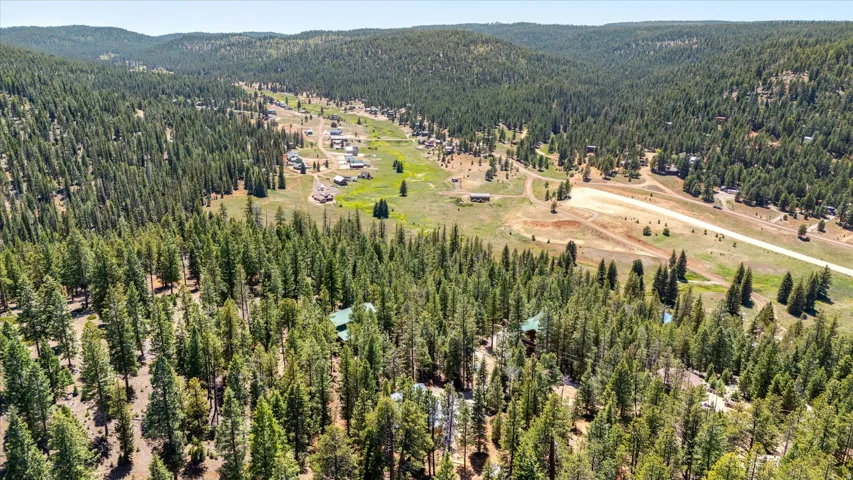 Expansive wooded terrain featuring evergreen trees and multiple structures