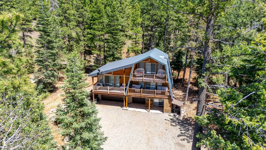 A-frame style residence featuring a wood siding exterior and a metal roof
