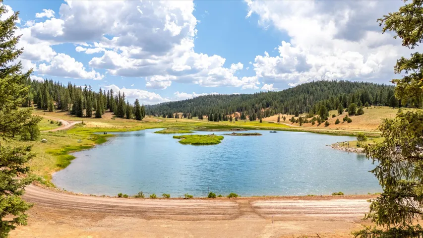 Expansive lakefront property featuring a tranquil body of water with a central island