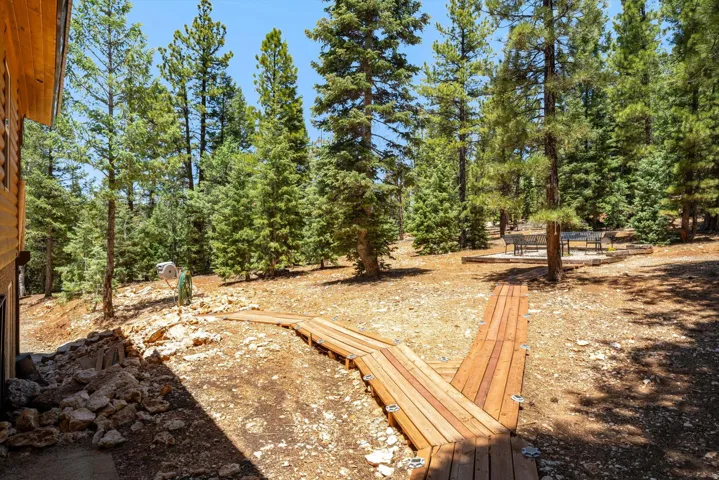 Wood walkway through a natural, treed outdoor space