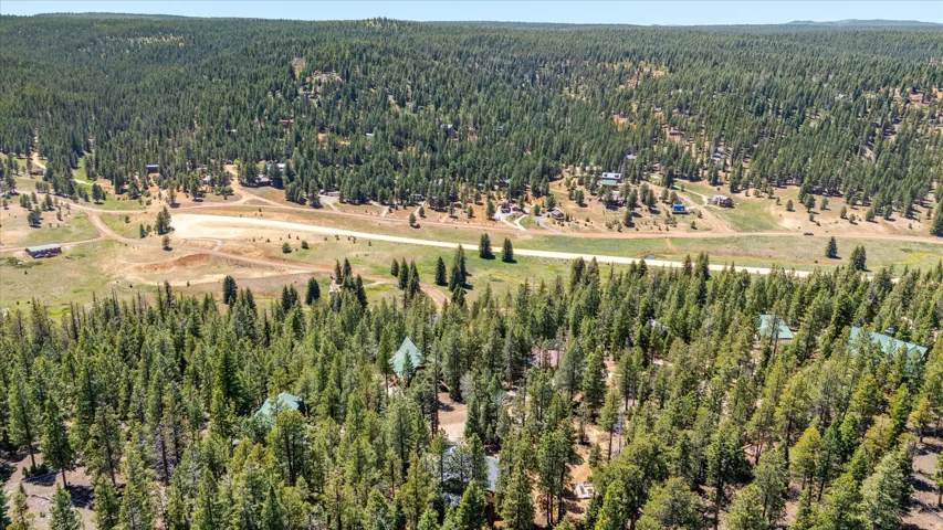 Expansive aerial showcasing a densely forested landscape with numerous evergreen trees