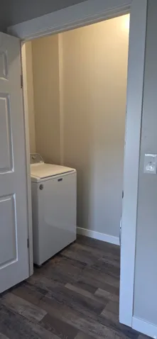 Dedicated laundry area featuring wood-finish flooring