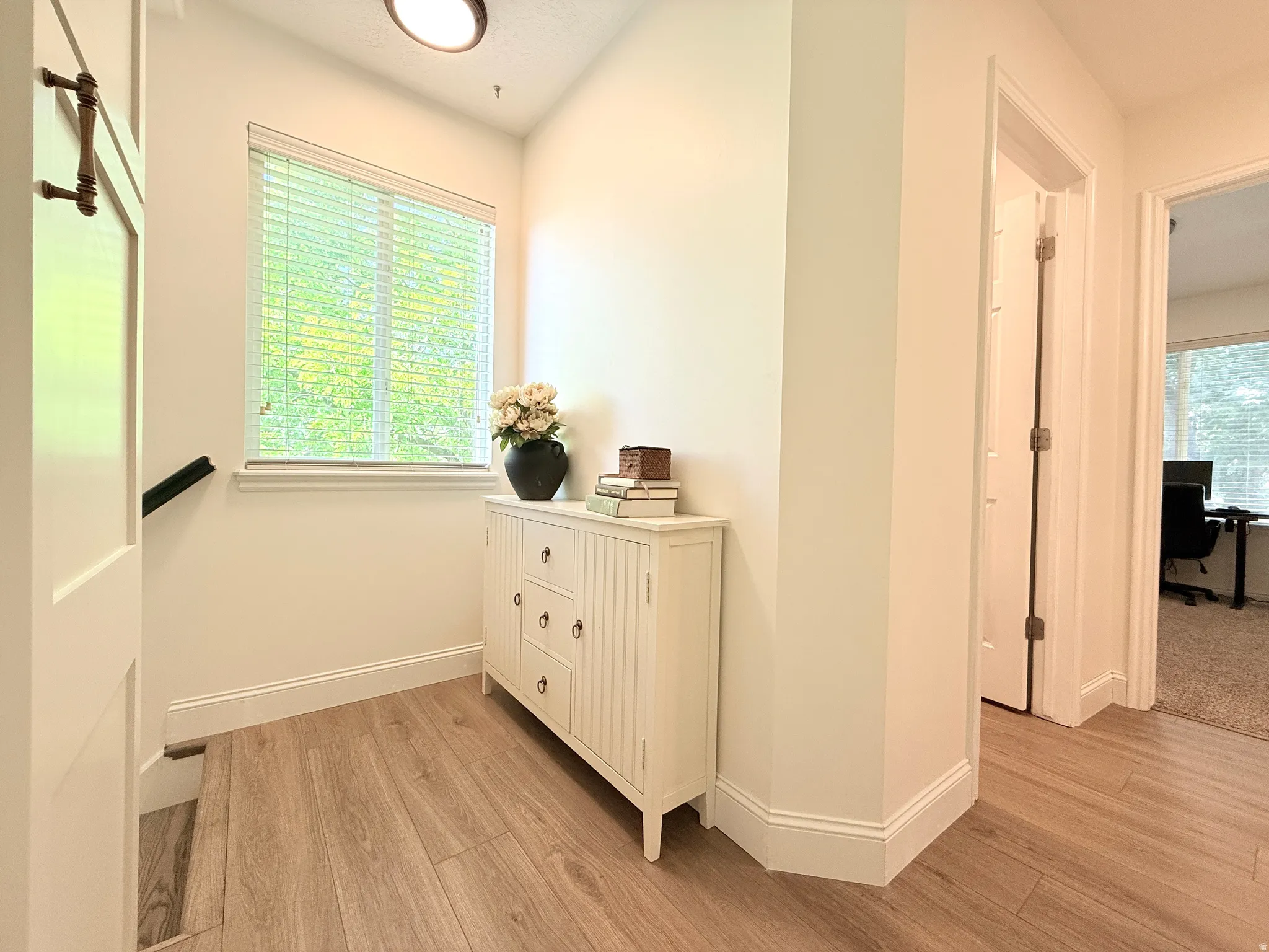 Light-filled hallway featuring wood-finish flooring, a contemporary flush-mount ceiling light, and crisp white trim