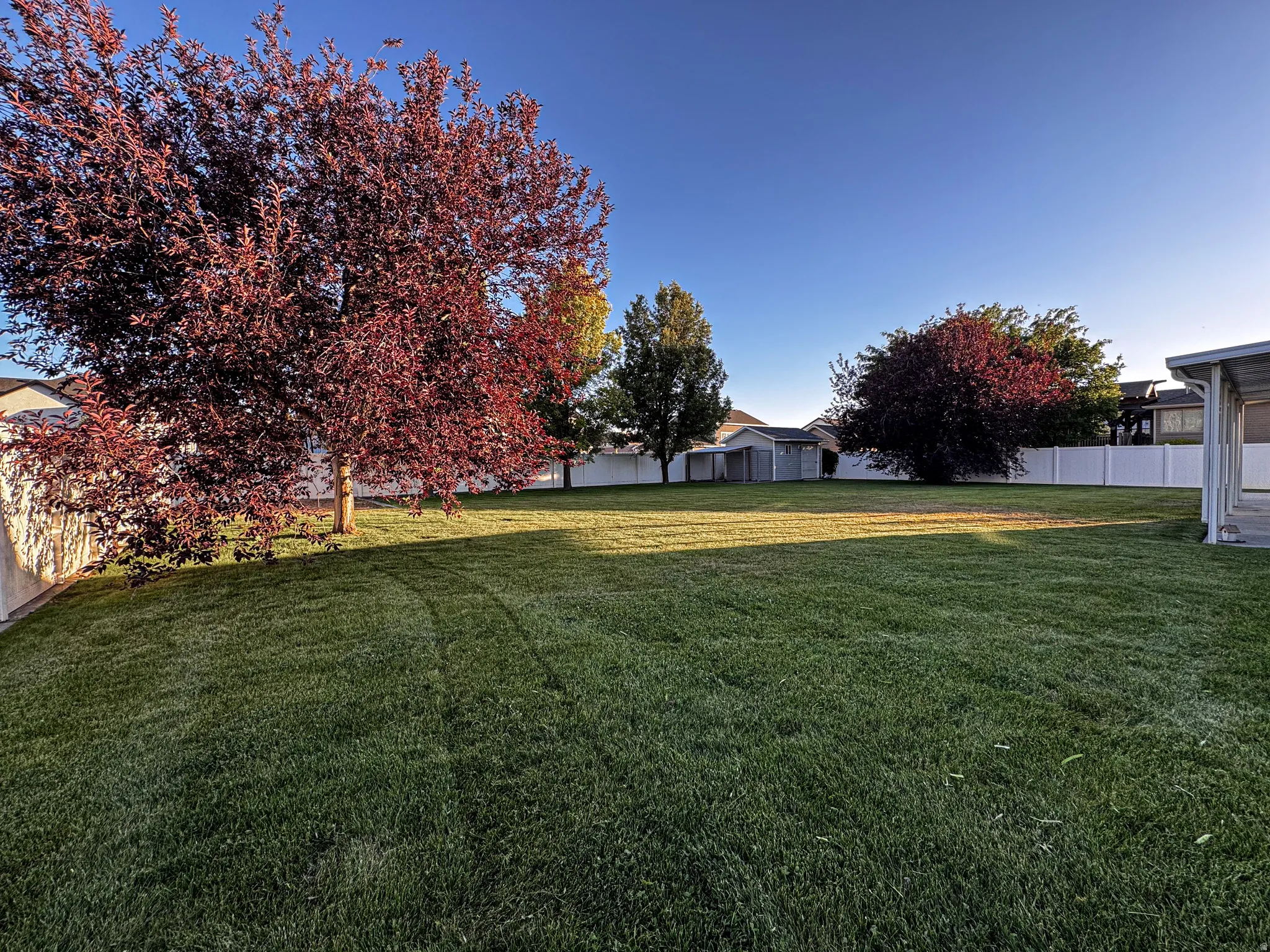 Expansive grassy backyard featuring mature trees, a white perimeter fence, and a utility shed