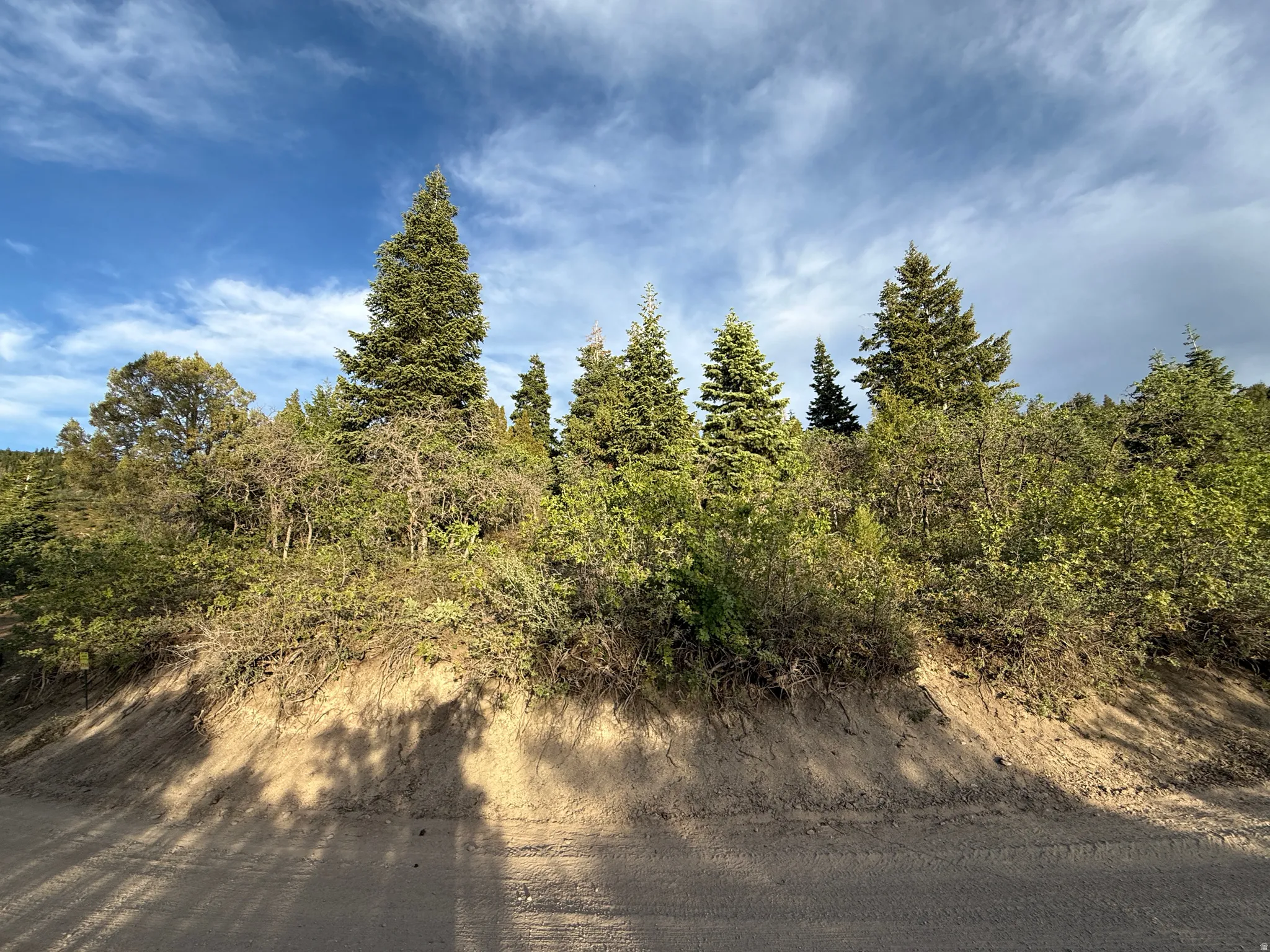 Looking at property from the road