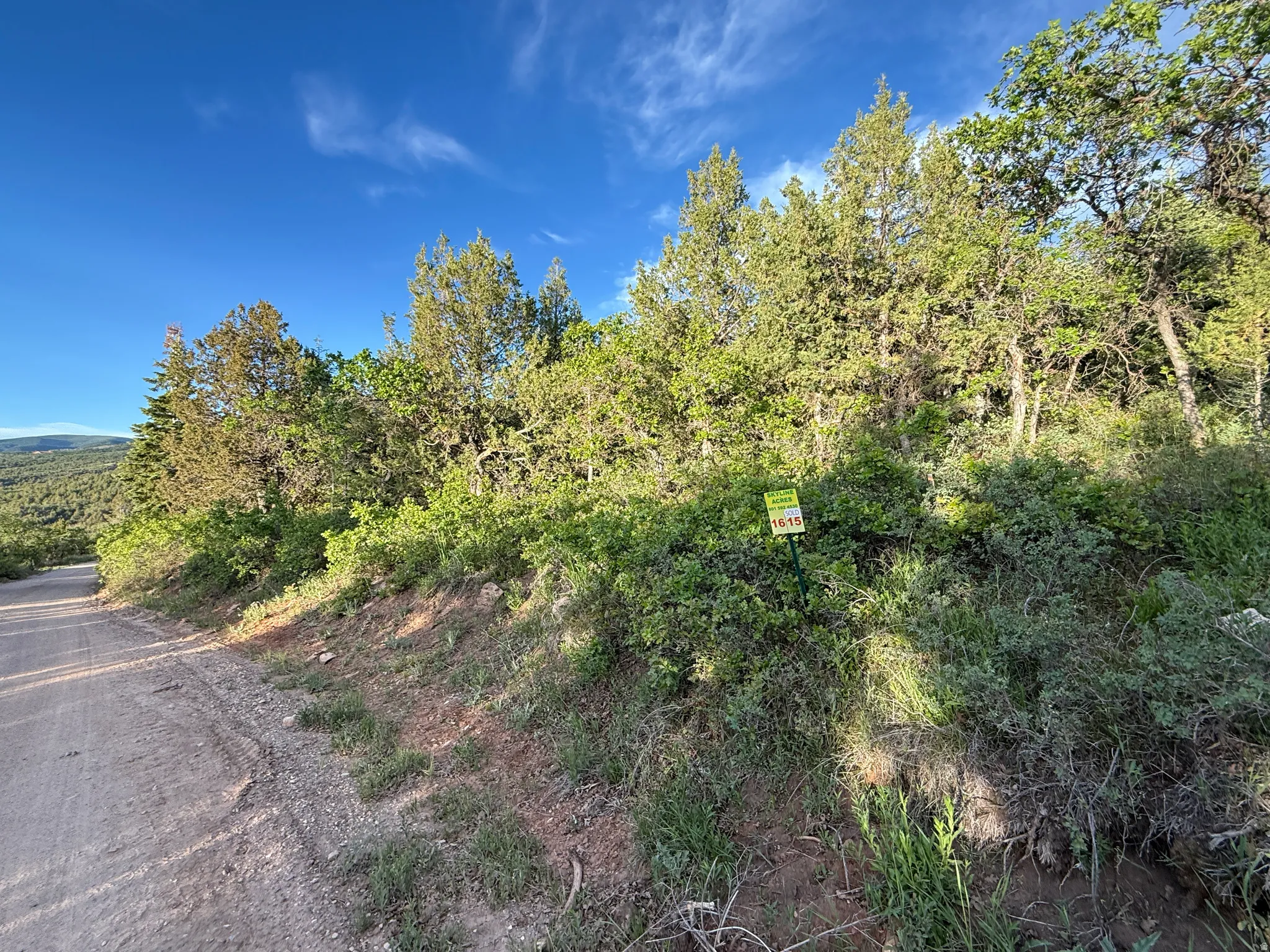 Frontage of the property from the property line